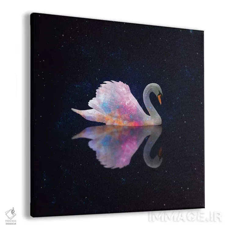 تابلو کهکشان قو اثر ارین سامر - نمای پرسپکتیو محصول