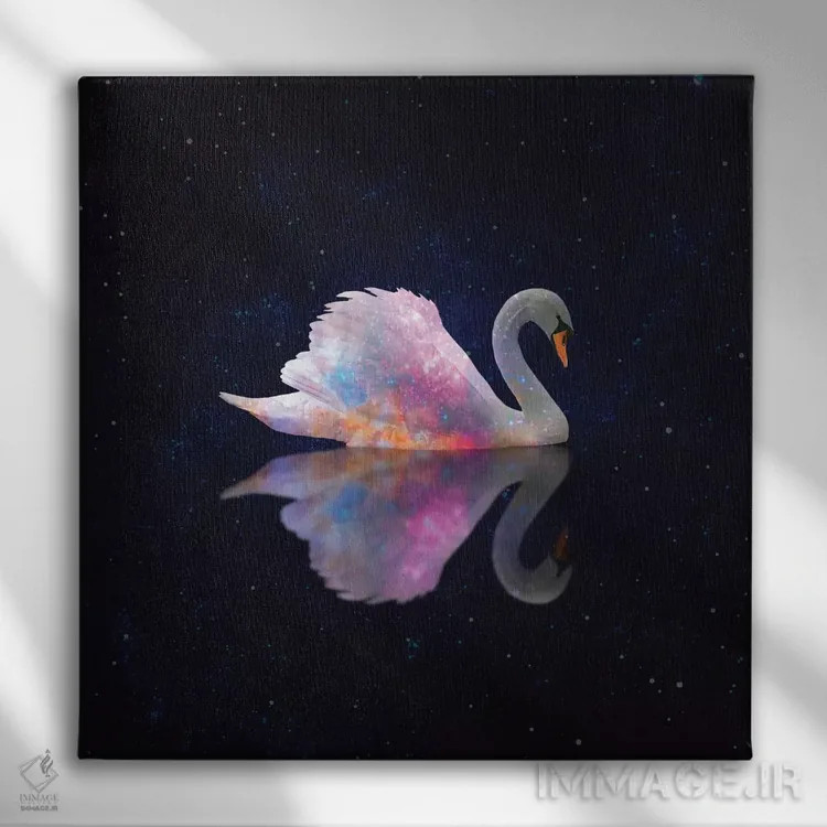 تابلو کهکشان قو اثر ارین سامر - نمای روبهرو روی دیوار