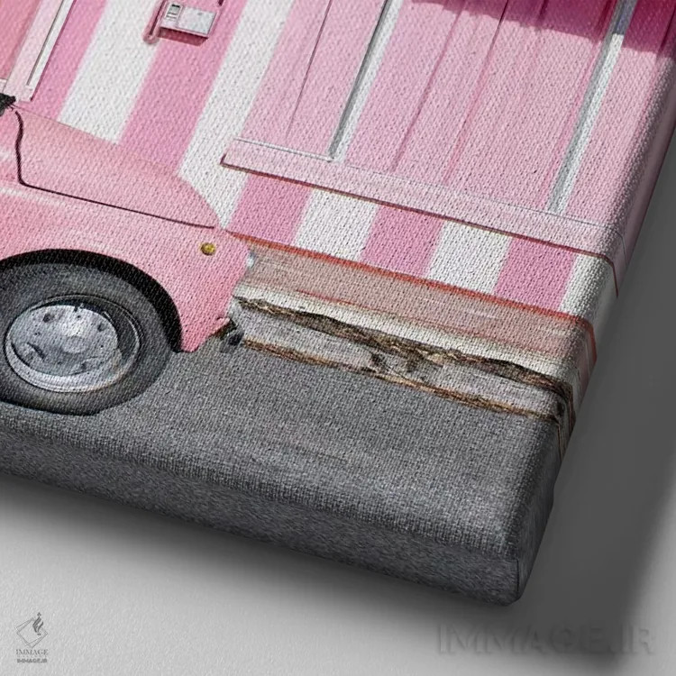 تابلو زنده باد وگاس صورتی اثر ارین سامر - نمای نزدیک بافت بوم