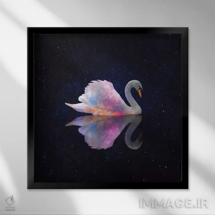 تابلو کهکشان قو اثر ارین سامر - نمای قابدار مشکی