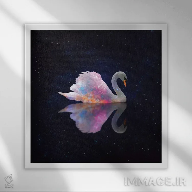 تابلو کهکشان قو اثر ارین سامر - نمای قابدار سفید
