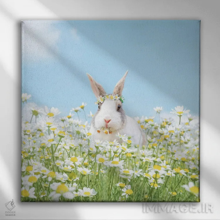 تابلو روزهای خوش اثر ارین سامر - نمای روبهرو روی دیوار