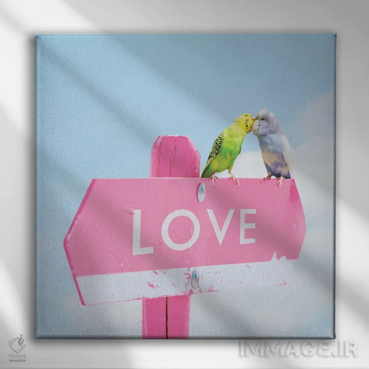 تابلو مرغهای عاشق اثر ارین سامر - نمای روبهرو روی دیوار