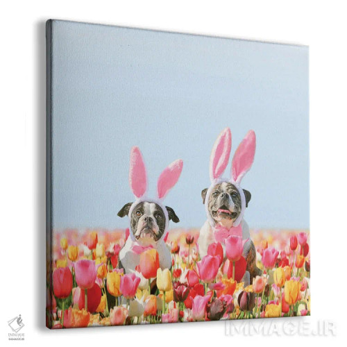تابلو پسران خرگوشی اثر ارین سامر - نمای پرسپکتیو محصول