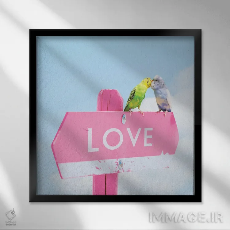 تابلو مرغهای عاشق اثر ارین سامر - نمای قابدار مشکی