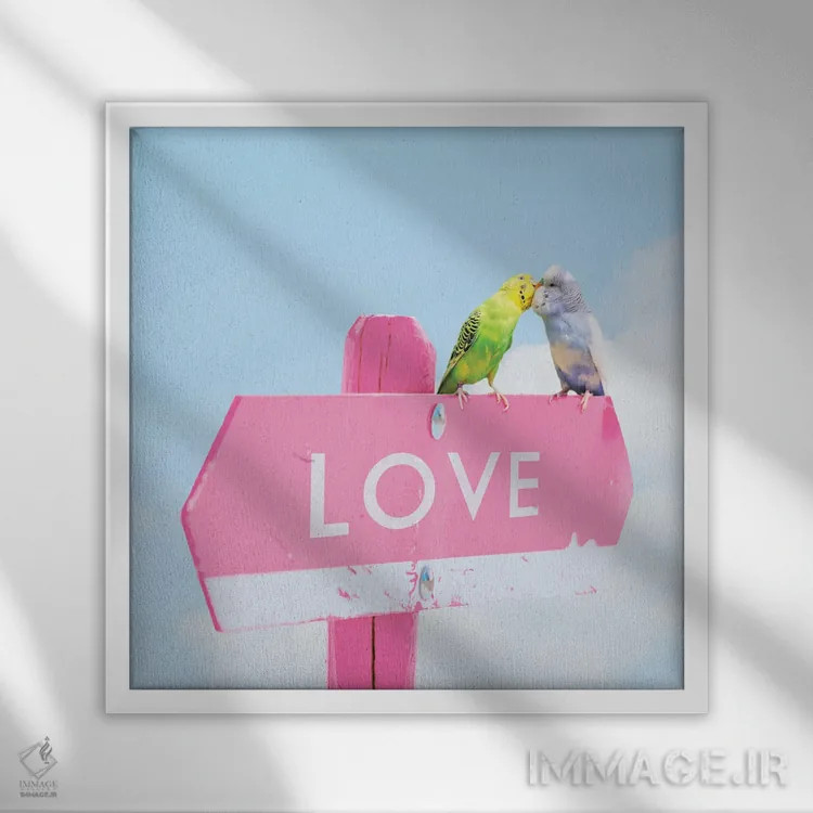 تابلو مرغهای عاشق اثر ارین سامر - نمای قابدار سفید