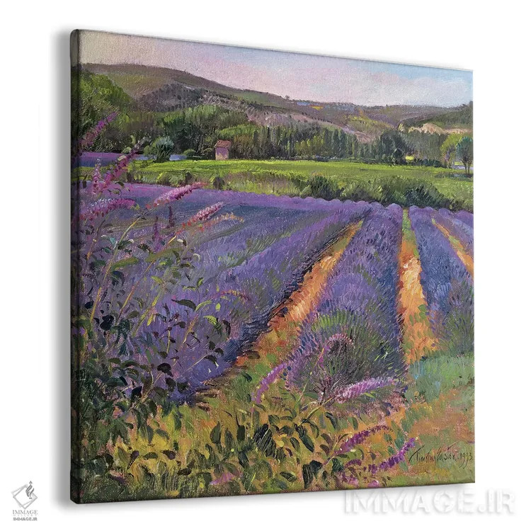 تابلو بوته گلپروانهای و مزرعه اسطوخودوس، مونکلوس، ۱۹۹۳ اثر تیموتی ایستون - نمای پرسپکتیو محصول