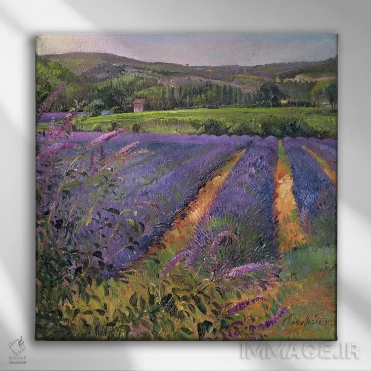 تابلو بوته گلپروانهای و مزرعه اسطوخودوس، مونکلوس، ۱۹۹۳ اثر تیموتی ایستون - نمای روبهرو روی دیوار