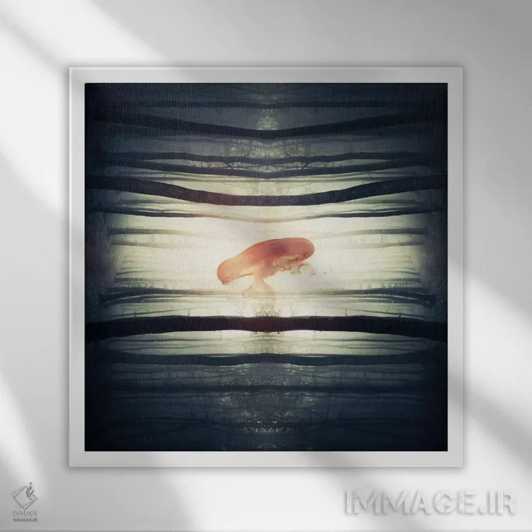 تابلو درخشش اثر اوگنی سولویف - نمای قابدار سفید