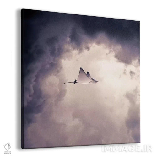 تابلو الالتیتی (اسم خاص) اثر اوگنی سولویف - نمای پرسپکتیو محصول