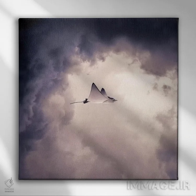 تابلو الالتیتی (اسم خاص) اثر اوگنی سولویف - نمای روبهرو روی دیوار