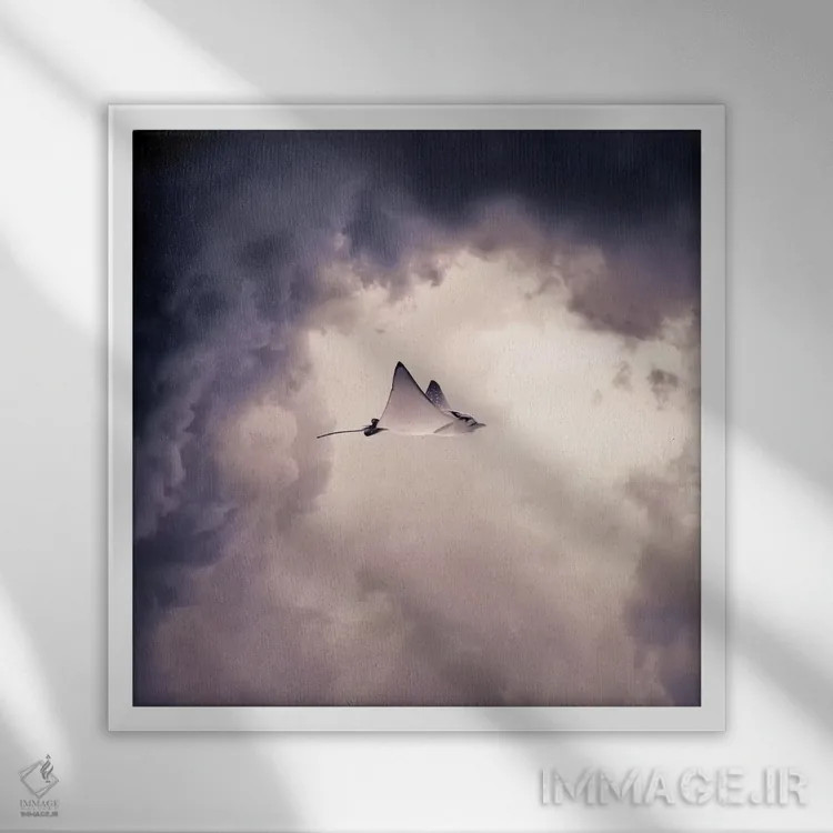 تابلو الالتیتی (اسم خاص) اثر اوگنی سولویف - نمای قابدار سفید