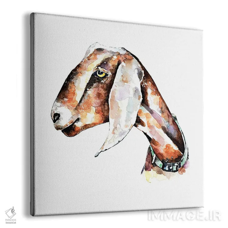 تابلو بز نوبی ۱ اثر ادز واترکالرز (برند نقاشی آبرنگ) - نمای پرسپکتیو محصول