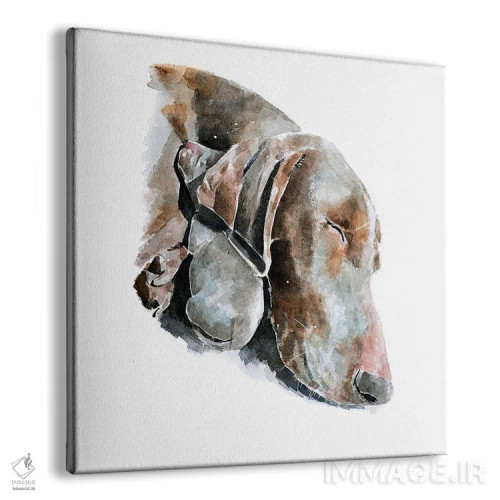 تابلو عشق ابدی وایمارانر (نژاد سگ) اثر ادز واترکالرز (برند نقاشی آبرنگ) - نمای پرسپکتیو محصول