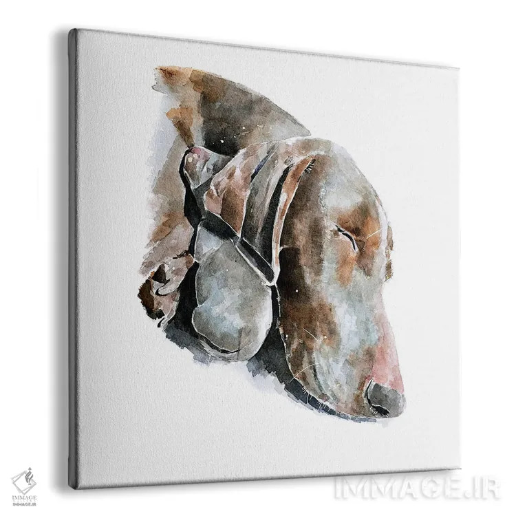 تابلو عشق ابدی وایمارانر (نژاد سگ) اثر ادز واترکالرز (برند نقاشی آبرنگ) - نمای پرسپکتیو محصول