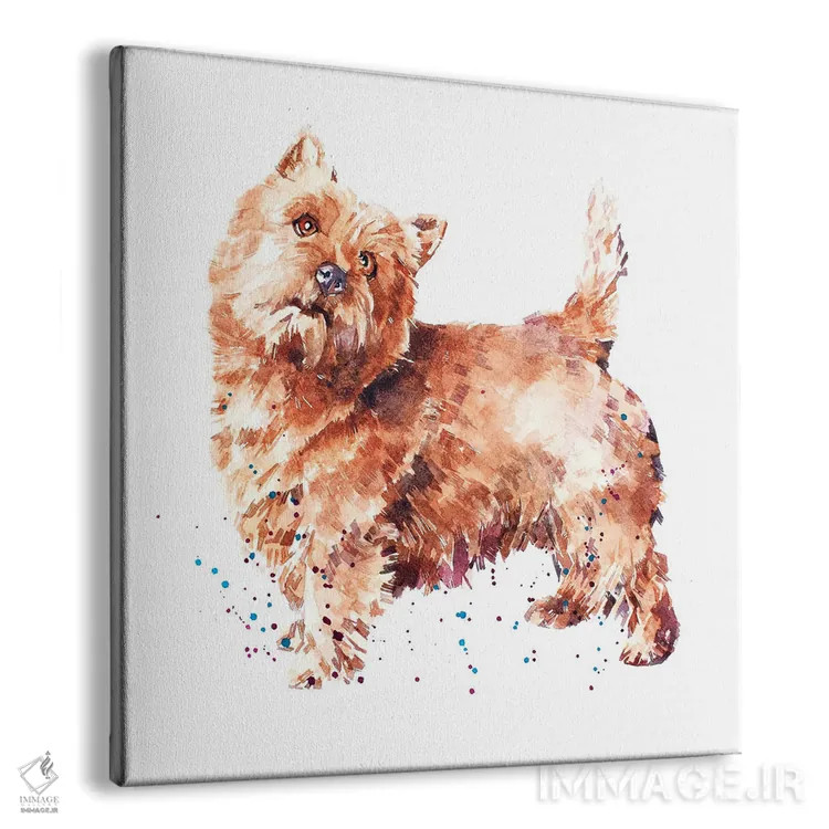 تابلو تِریِر نورویچ اثر ادز واترکالرز (برند نقاشی آبرنگ) - نمای پرسپکتیو محصول