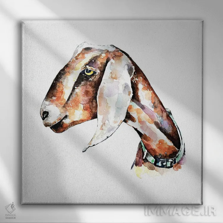 تابلو بز نوبی ۱ اثر ادز واترکالرز (برند نقاشی آبرنگ) - نمای روبهرو روی دیوار