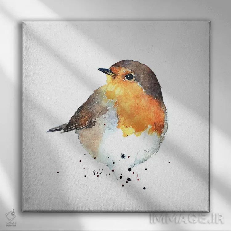 تابلو فنچ سینهسرخ (پرنده رابین) اثر ادز واترکالرز (برند نقاشی آبرنگ) - نمای روبهرو روی دیوار