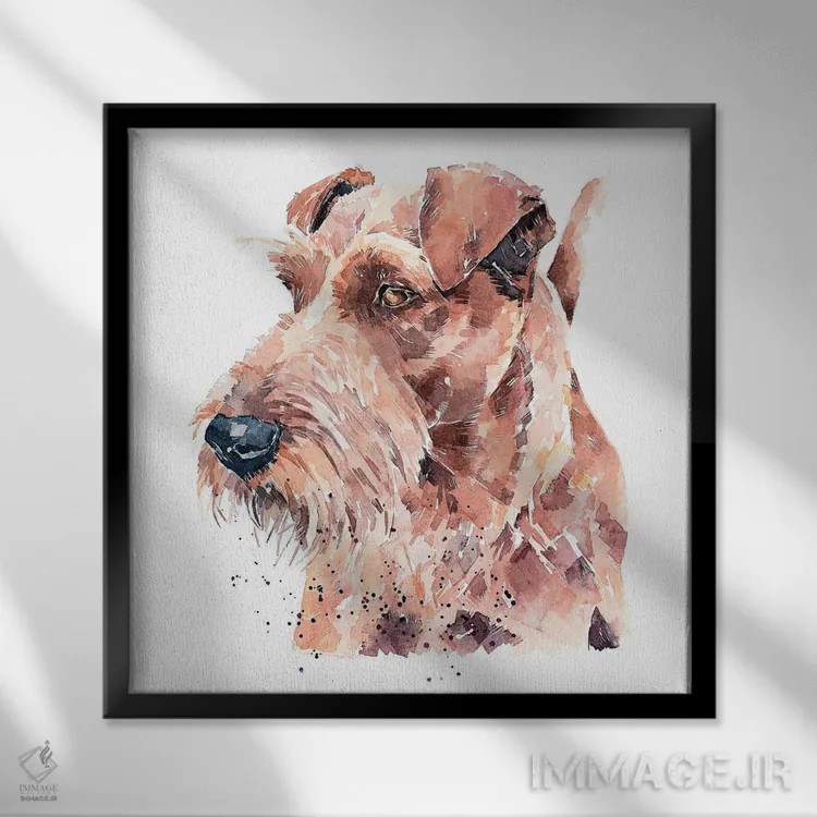 تابلو غرور تِریِر ایرلندی اثر ادز واترکالرز (برند نقاشی آبرنگ) - نمای قابدار مشکی