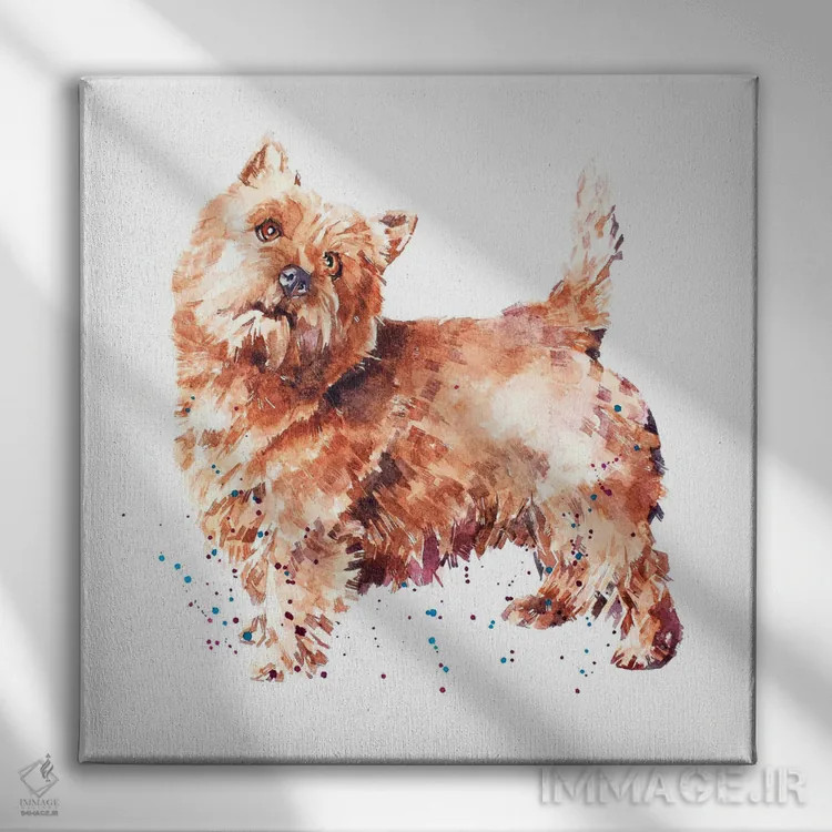 تابلو تِریِر نورویچ اثر ادز واترکالرز (برند نقاشی آبرنگ) - نمای روبهرو روی دیوار