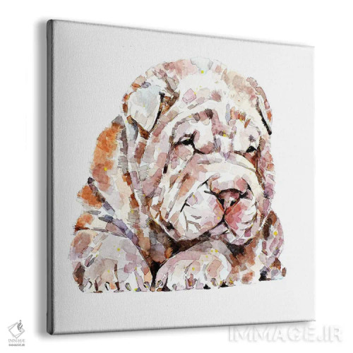 تابلو شار پی (نژاد سگ) اثر ادز واترکالرز (برند نقاشی آبرنگ) - نمای پرسپکتیو محصول