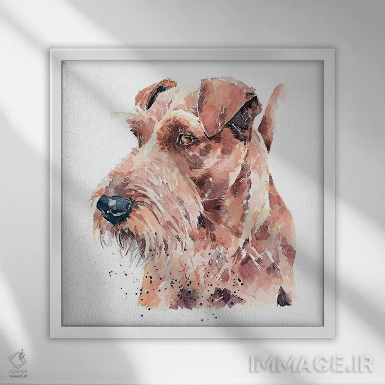 تابلو غرور تِریِر ایرلندی اثر ادز واترکالرز (برند نقاشی آبرنگ) - نمای قابدار سفید