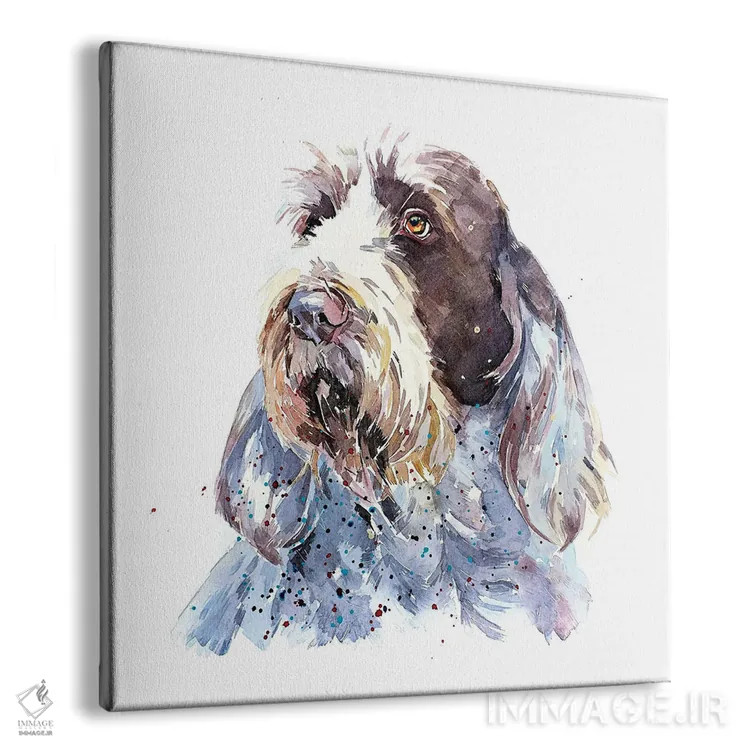تابلو اسپینونه ۱ (نژاد سگ) اثر ادز واترکالرز (برند نقاشی آبرنگ) - نمای پرسپکتیو محصول