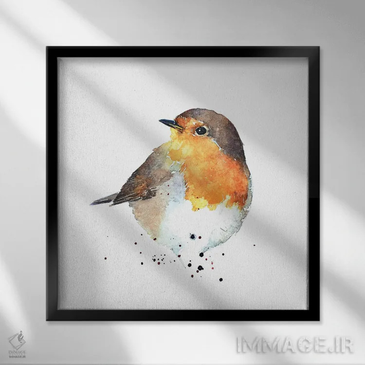 تابلو فنچ سینهسرخ (پرنده رابین) اثر ادز واترکالرز (برند نقاشی آبرنگ) - نمای قابدار مشکی