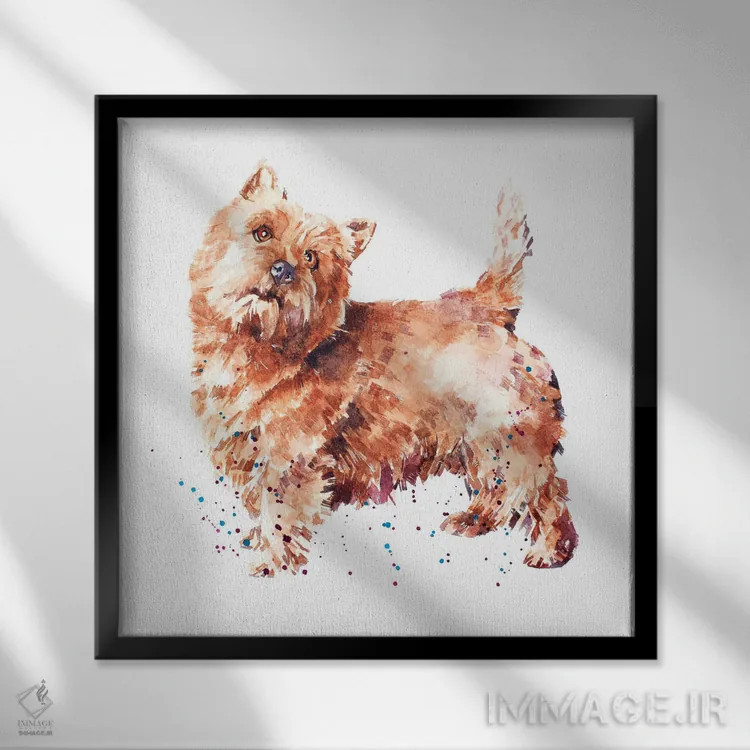 تابلو تِریِر نورویچ اثر ادز واترکالرز (برند نقاشی آبرنگ) - نمای قابدار مشکی