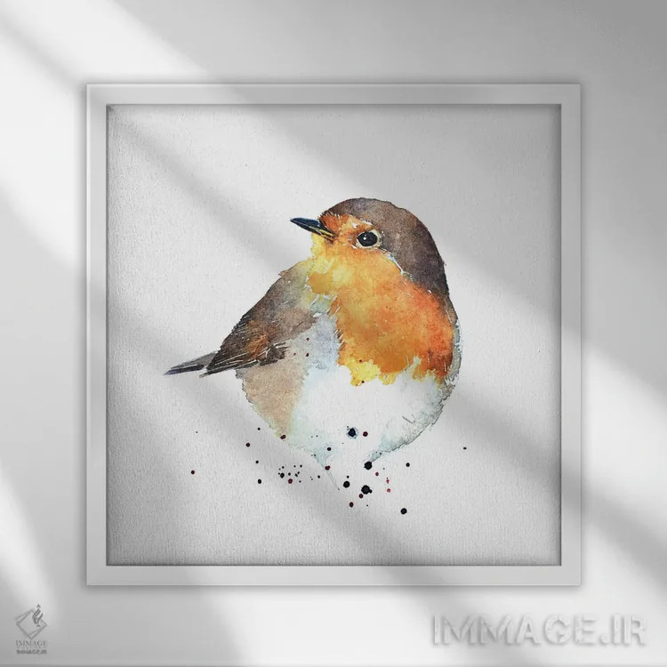 تابلو فنچ سینهسرخ (پرنده رابین) اثر ادز واترکالرز (برند نقاشی آبرنگ) - نمای قابدار سفید