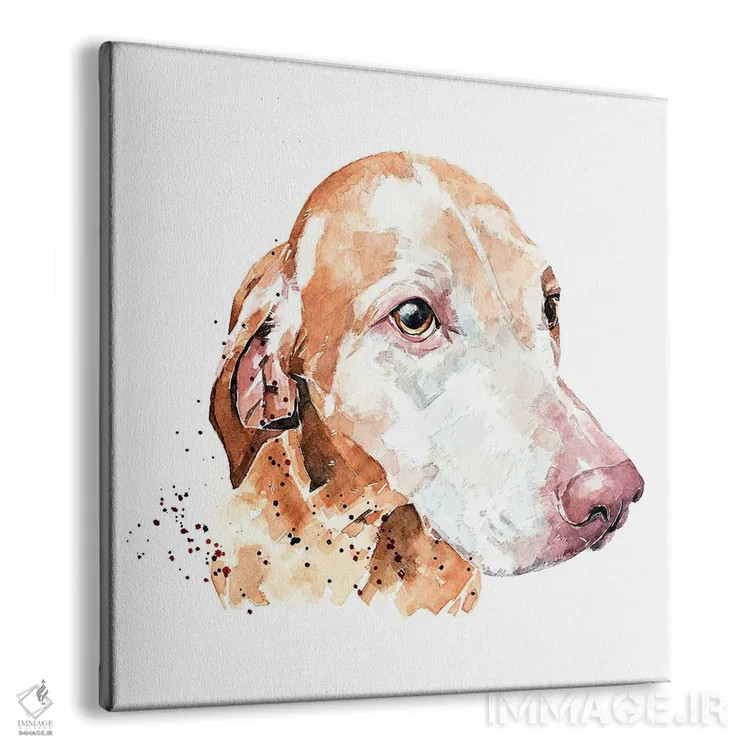 تابلو ویزسلا چهره شیرین (نژاد سگ) اثر ادز واترکالرز (برند نقاشی آبرنگ) - نمای پرسپکتیو محصول