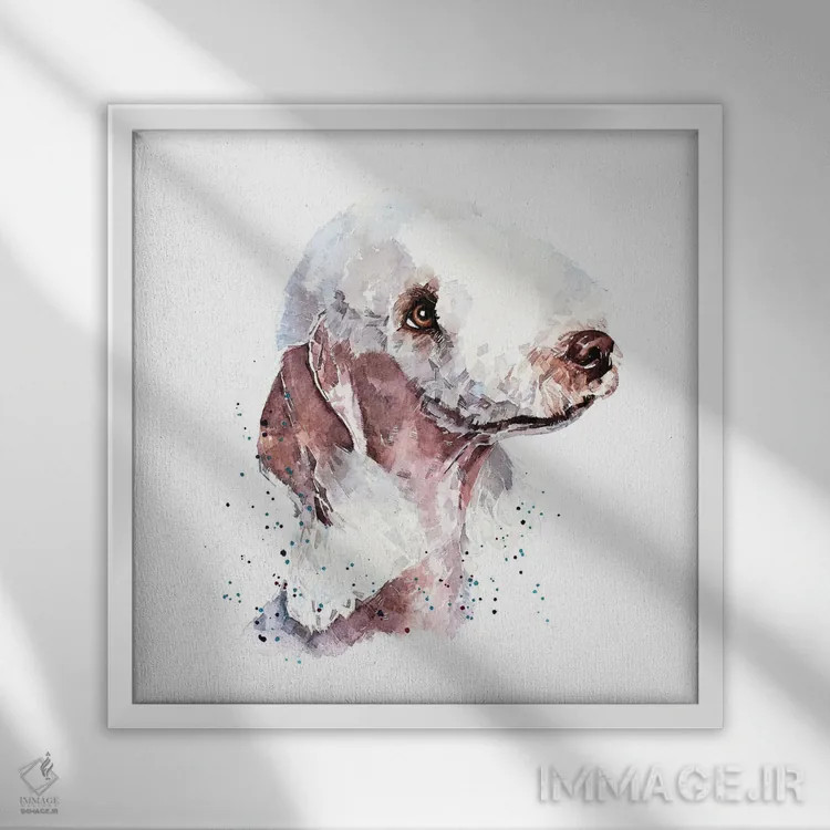 تابلو تِریِر بدلینگتون ۲ اثر ادز واترکالرز (برند نقاشی آبرنگ) - نمای قابدار سفید