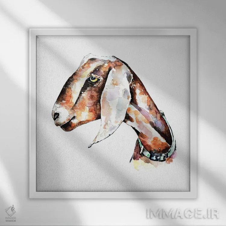 تابلو بز نوبی ۱ اثر ادز واترکالرز (برند نقاشی آبرنگ) - نمای قابدار سفید