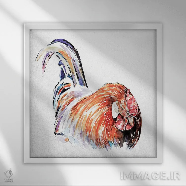 تابلو خروس اثر ادز واترکالرز (برند نقاشی آبرنگ) - نمای قابدار سفید