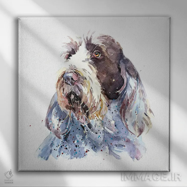 تابلو اسپینونه ۱ (نژاد سگ) اثر ادز واترکالرز (برند نقاشی آبرنگ) - نمای روبهرو روی دیوار