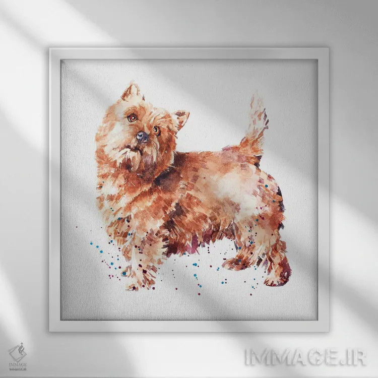 تابلو تِریِر نورویچ اثر ادز واترکالرز (برند نقاشی آبرنگ) - نمای قابدار سفید