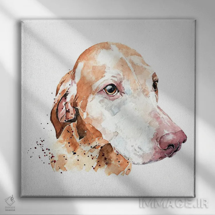 تابلو ویزسلا چهره شیرین (نژاد سگ) اثر ادز واترکالرز (برند نقاشی آبرنگ) - نمای روبهرو روی دیوار