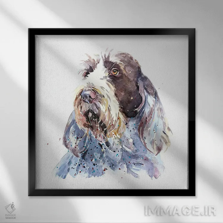 تابلو اسپینونه ۱ (نژاد سگ) اثر ادز واترکالرز (برند نقاشی آبرنگ) - نمای قابدار مشکی