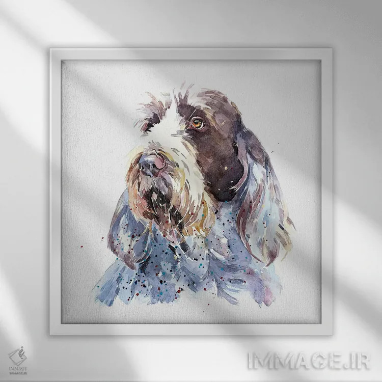 تابلو اسپینونه ۱ (نژاد سگ) اثر ادز واترکالرز (برند نقاشی آبرنگ) - نمای قابدار سفید