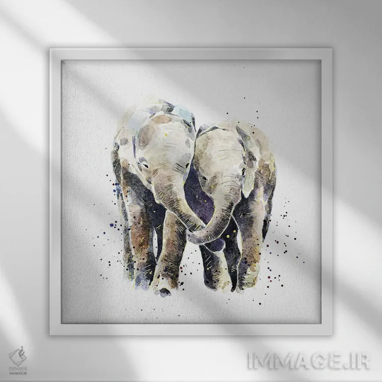 تابلو دو فیل اثر ادز واترکالرز (برند نقاشی آبرنگ) - نمای قابدار سفید