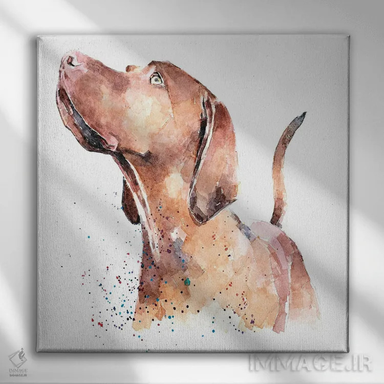 تابلو ویزسلا در حال نگاه به بالا (نژاد سگ) اثر ادز واترکالرز (برند نقاشی آبرنگ) - نمای روبهرو روی دیوار