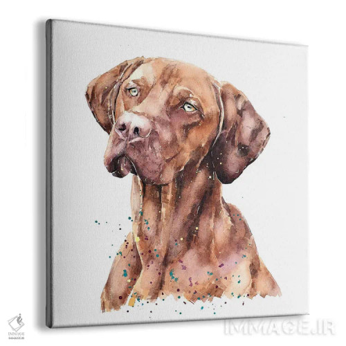 تابلو ویزسلا غرق در فکر (نژاد سگ) اثر ادز واترکالرز (برند نقاشی آبرنگ) - نمای پرسپکتیو محصول