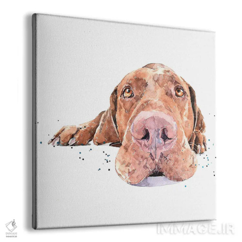 تابلو ویزسلا بیهوش شده (نژاد سگ) اثر ادز واترکالرز (برند نقاشی آبرنگ) - نمای پرسپکتیو محصول