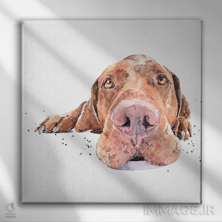 تابلو ویزسلا بیهوش شده (نژاد سگ) اثر ادز واترکالرز (برند نقاشی آبرنگ) - نمای روبهرو روی دیوار