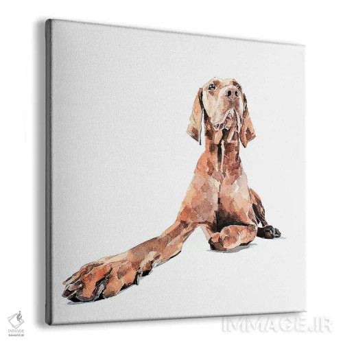 تابلو ویزسلا باشکوه (نژاد سگ) اثر ادز واترکالرز (برند نقاشی آبرنگ) - نمای پرسپکتیو محصول