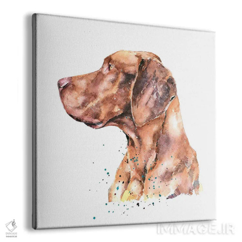 تابلو ویزسلا متفکر (نژاد سگ) اثر ادز واترکالرز (برند نقاشی آبرنگ) - نمای پرسپکتیو محصول