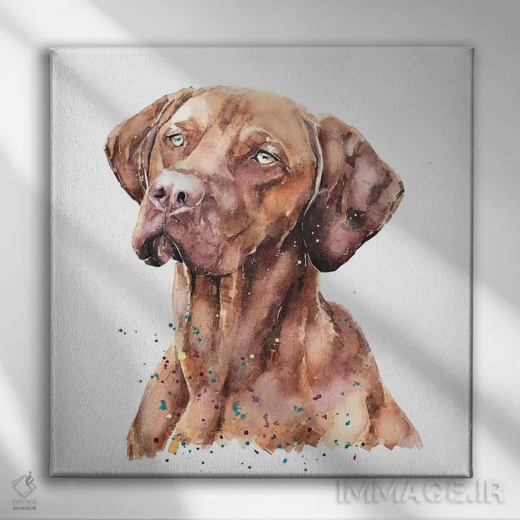 تابلو ویزسلا غرق در فکر (نژاد سگ) اثر ادز واترکالرز (برند نقاشی آبرنگ) - نمای روبهرو روی دیوار