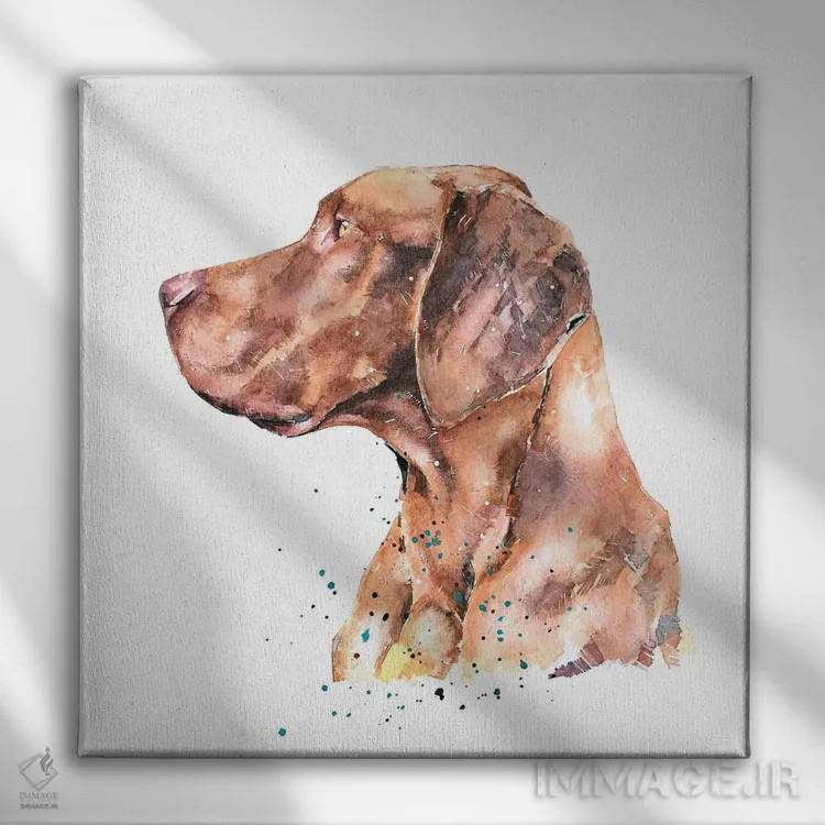 تابلو ویزسلا متفکر (نژاد سگ) اثر ادز واترکالرز (برند نقاشی آبرنگ) - نمای روبهرو روی دیوار