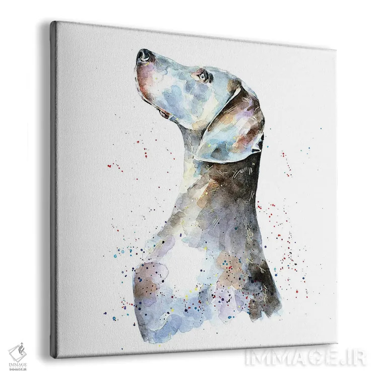 تابلو وایمارانر I (نژاد سگ) اثر ادز واترکالرز (برند نقاشی آبرنگ) - نمای پرسپکتیو محصول