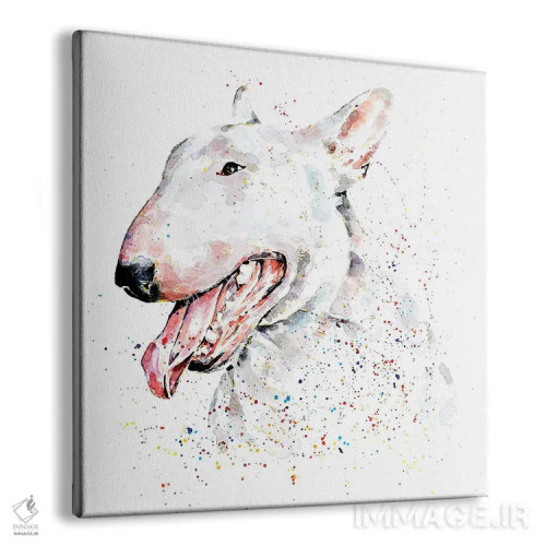 تابلو بول تریر انگلیسی سفید (نژاد سگ) اثر ادز واترکالرز (برند نقاشی آبرنگ) - نمای پرسپکتیو محصول